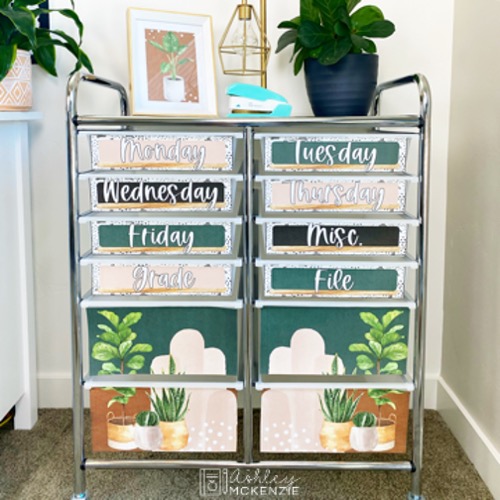 Plant themed 12-drawer rolling cart for teacher organization; drawer labels feature earthy tones and plant images