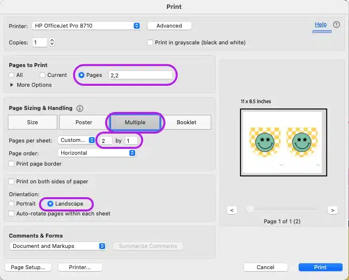 Printer settings in Adobe Reader to show how to print 2 of the same page per sheet