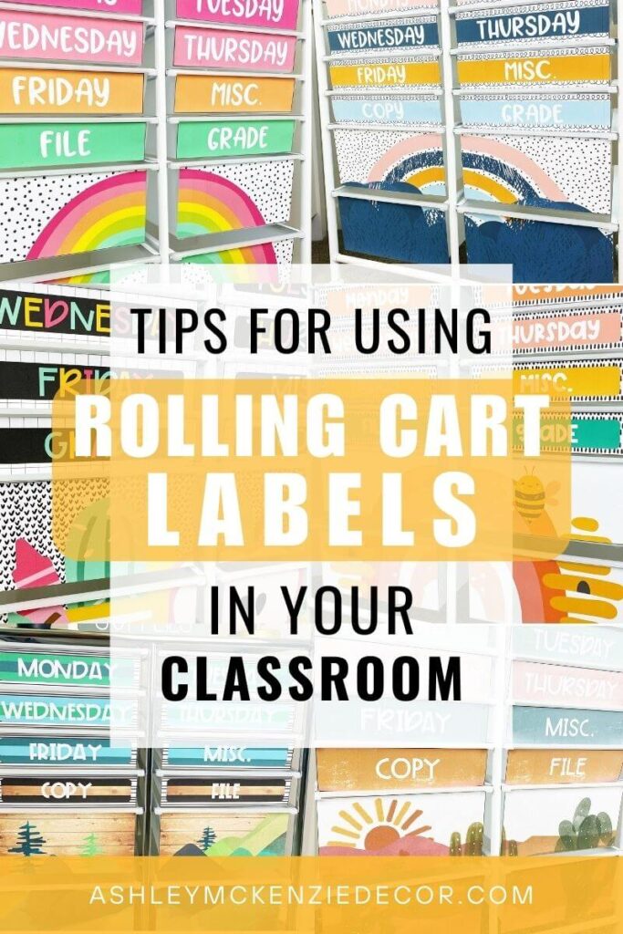 Use Rolling Cart Labels to create a fun, and visually stunning organizing tool for your classroom!