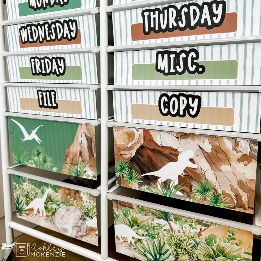 Dinosaur themed rolling cart labels for organizing classroom supplies using a 12 drawer rolling cart