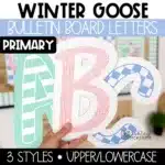 Winter Bulletin Board Letters A-Z Primary Font Punctuation and Numbers | Winter Goose Bulletin Board Theme