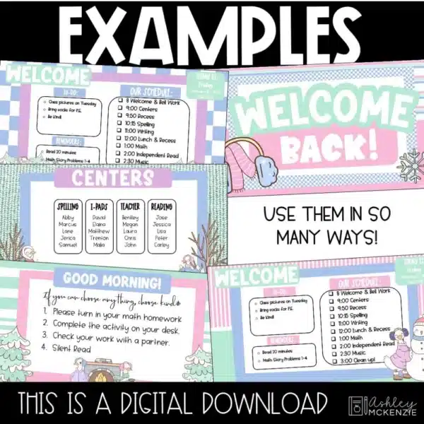 winter-goose-slides-Slide3 winter-goose-slides-Slide3