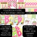 summer-goose-bb-bundle-Slide3