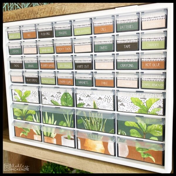 Plant Life Classroom Decor Bundle Plant Life Classroom Decor Bundle