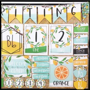 Lemon Classroom Decor Bundle