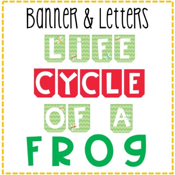 Life Cycle of a Frog Craftivity & Bulletin Board Kit Life Cycle of a Frog Craftivity & Bulletin Board Kit