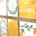 Summer Lemons Classroom Posters - 5 Minute Bulletin Board!
