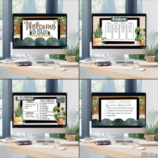 Plant Life Classroom Decor Bundle Plant Life Classroom Decor Bundle
