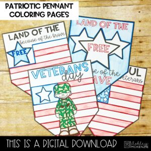 Veterans Day Classroom Activities, PowerPoint Lesson & Activities Pack