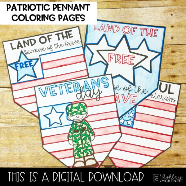 Veterans Day Classroom Activities, PowerPoint Lesson & Activities Pack Veterans Day Classroom Activities, PowerPoint Lesson & Activities Pack